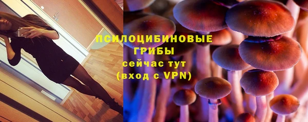 МДПВ Бугульма