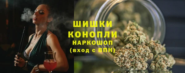 стаф Бронницы