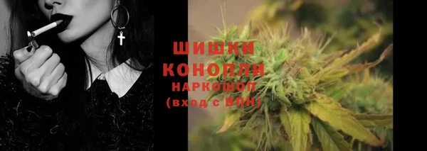 стаф Бронницы