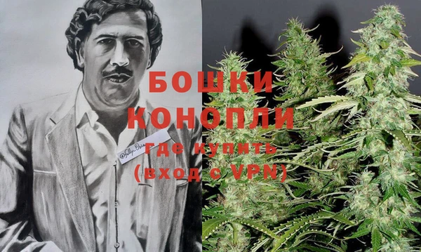 стаф Бронницы
