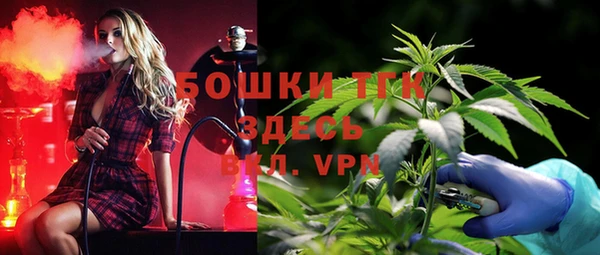 стаф Бронницы